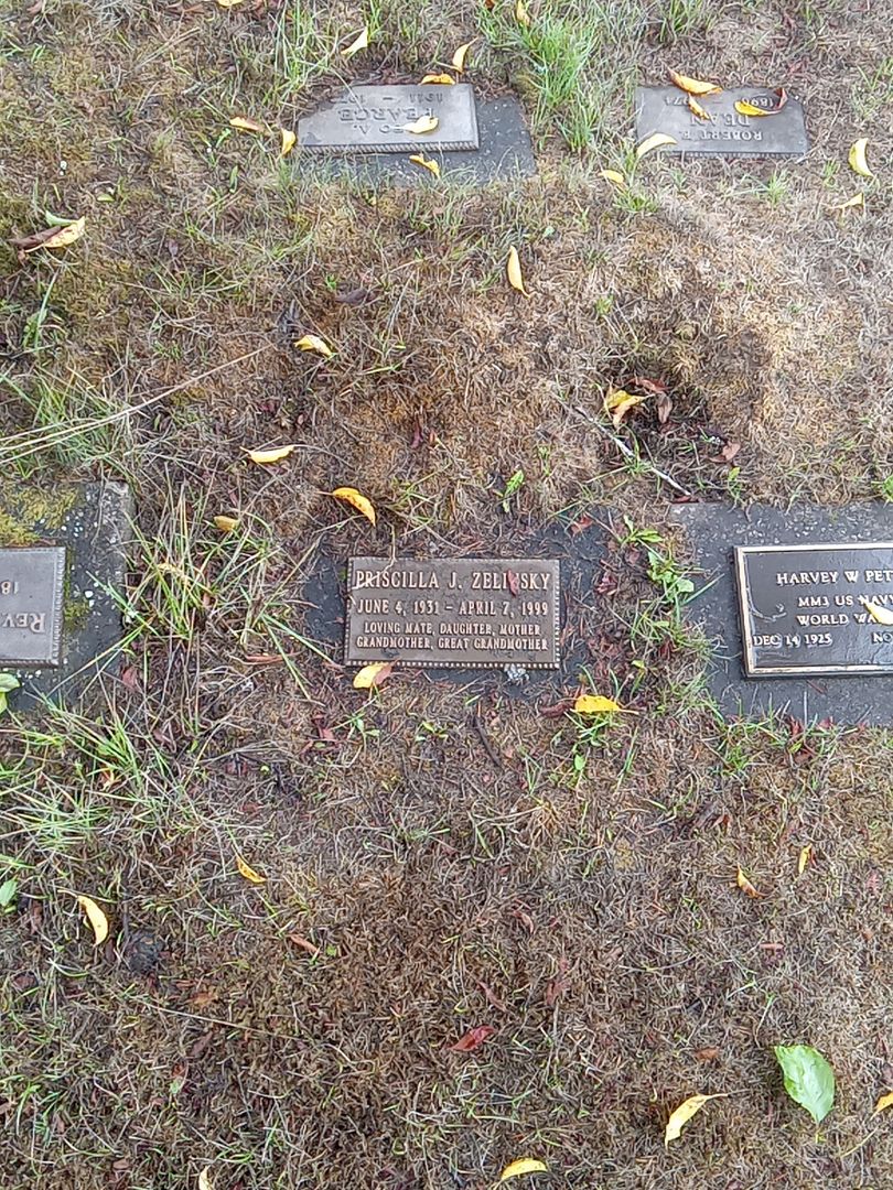 Priscilla J. Zelinsky's grave. Photo 1